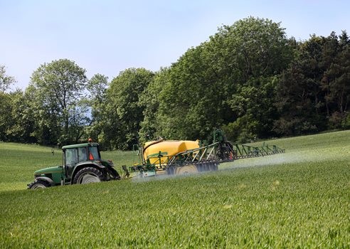 2024 09 25 Traktor Deutz På Mark Med Gul Sprøjte COLOURBOX4267466