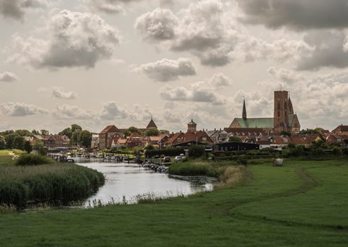 3 Ribe Under Vand COLOURBOX60742892