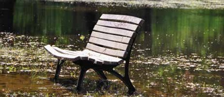 Bænk I Regnvejr 20241001