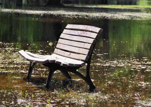 Bænk I Regnvejr 20241001