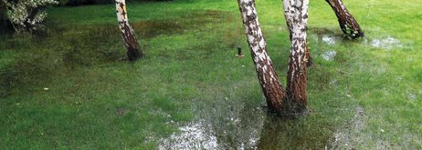 2021 09 28 Højtstående Grundvand