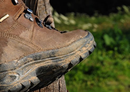 2025 03 19 Brun Vandrestøvle Ved Træstamme COLOURBOX1781936