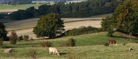 C2f4b76f B9ca 4728 Bf4b 2322228E13cd W 960