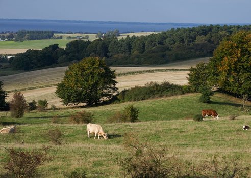 C2f4b76f B9ca 4728 Bf4b 2322228E13cd W 960