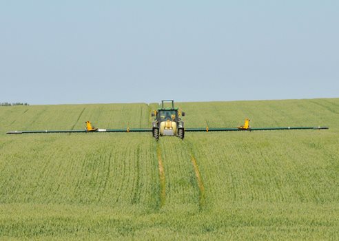 2025 11 05 Traktor Med Bred Bomsprøjte Kører Midt I En Grøn Kornmark COLOURBOX1192980