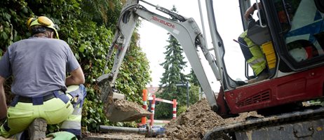 Vandledninger1 Fotojesperblæsild