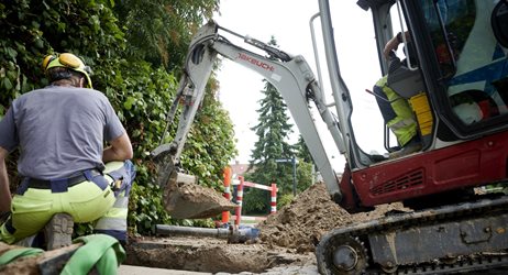 Vandledninger1 Fotojesperblæsild