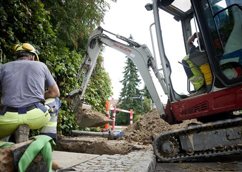 Vandledninger1 Fotojesperblæsild