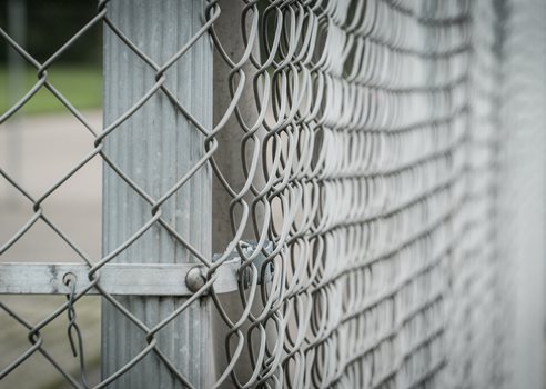 2025 12 10 Nærbillede Af Hegn COLOURBOX28441252