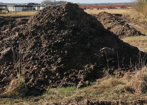 2026 01 29 Jordbunke I Byggemodning COLOURBOX18574927