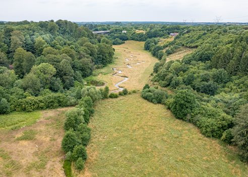 2026 06 10 Luftfoto Af Et Grønt Ådalslandskab Med En Snoet Å, Åbne Engarealer Og Tæt Skov På Begge Sider COLOURBOX55289356