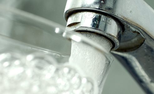 Vandhane tæt på colourbox.jpg