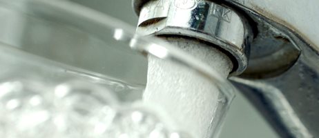 Vandhane tæt på colourbox.jpg