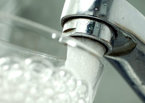 Vandhane tæt på colourbox.jpg