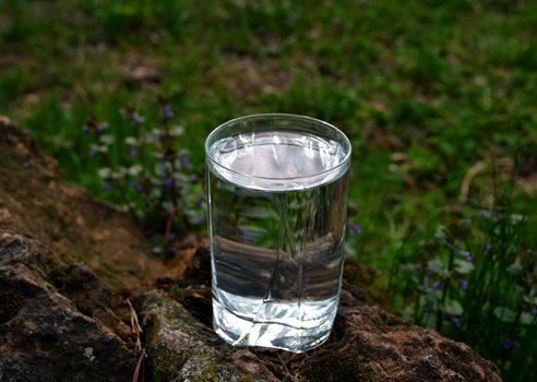 vandglas på mark 2.jpg (1)