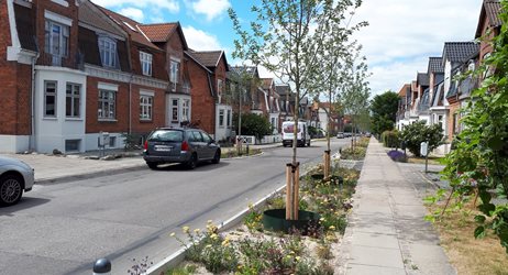 LAR-vejbed i villakvarter.jpg