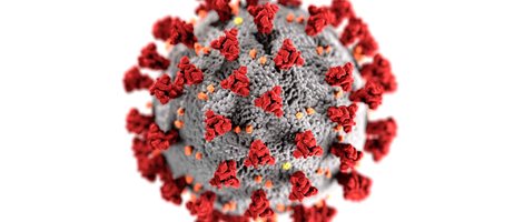 Corona Virus