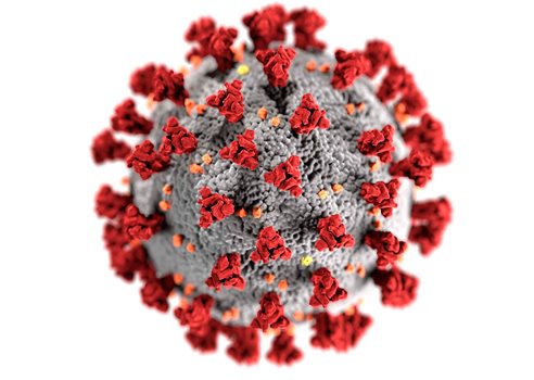 Corona Virus