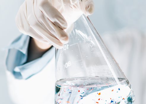 Billede Til Forside 416684219