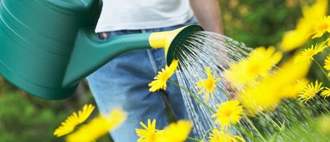 Vandkande vander blomster