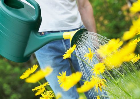 Vandkande vander blomster