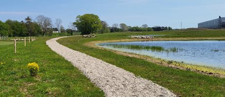 Køge Nord Klimatilpasning