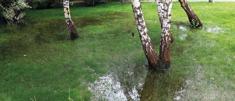 2021 09 28 Højtstående Grundvand Beskåpret