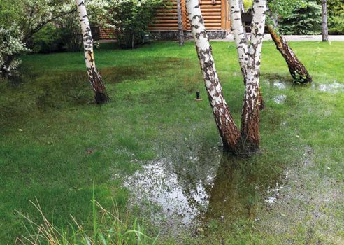 2021 09 28 Højtstående Grundvand Beskåpret